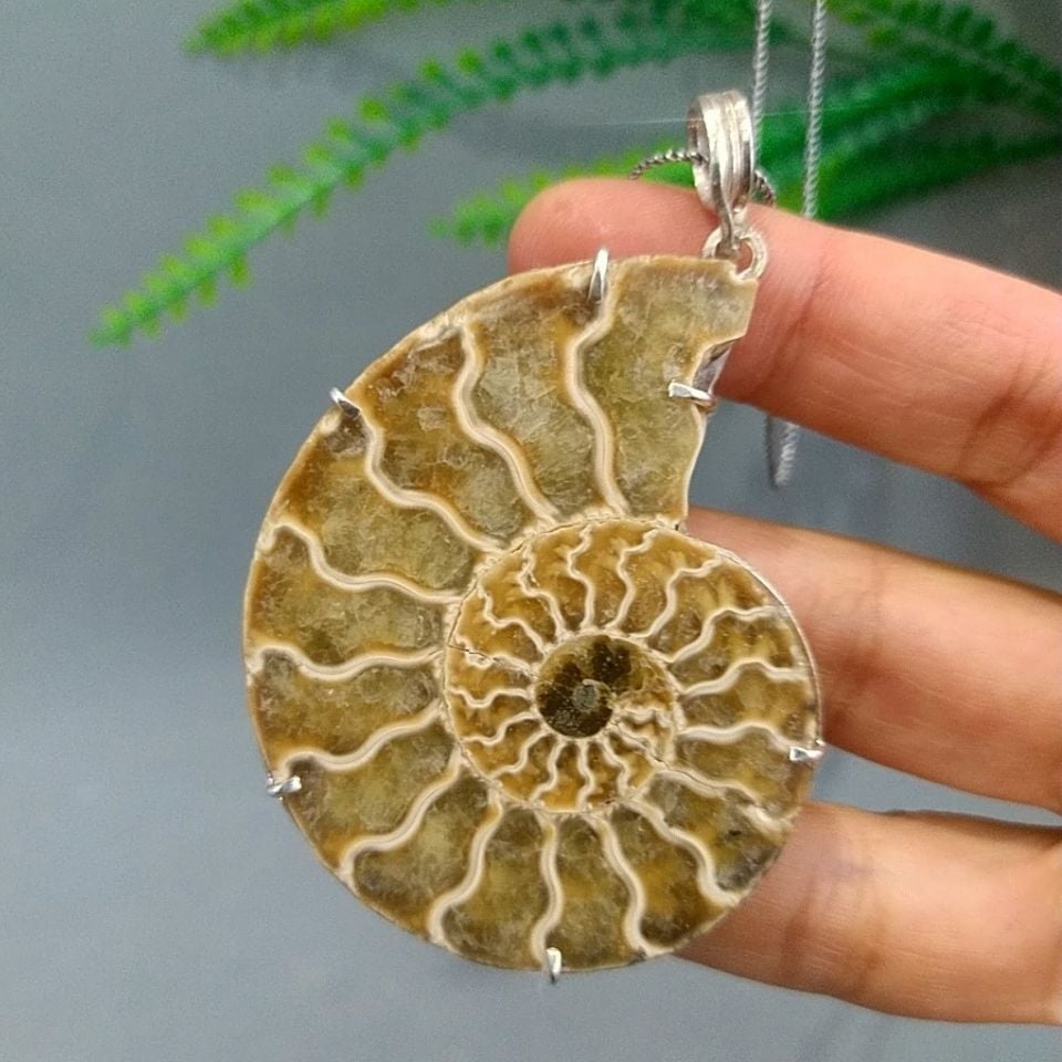 ammonit fosili özel tasarım kolye f817