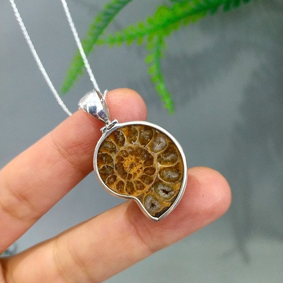 ammonit fosili özel tasarım kolye f819