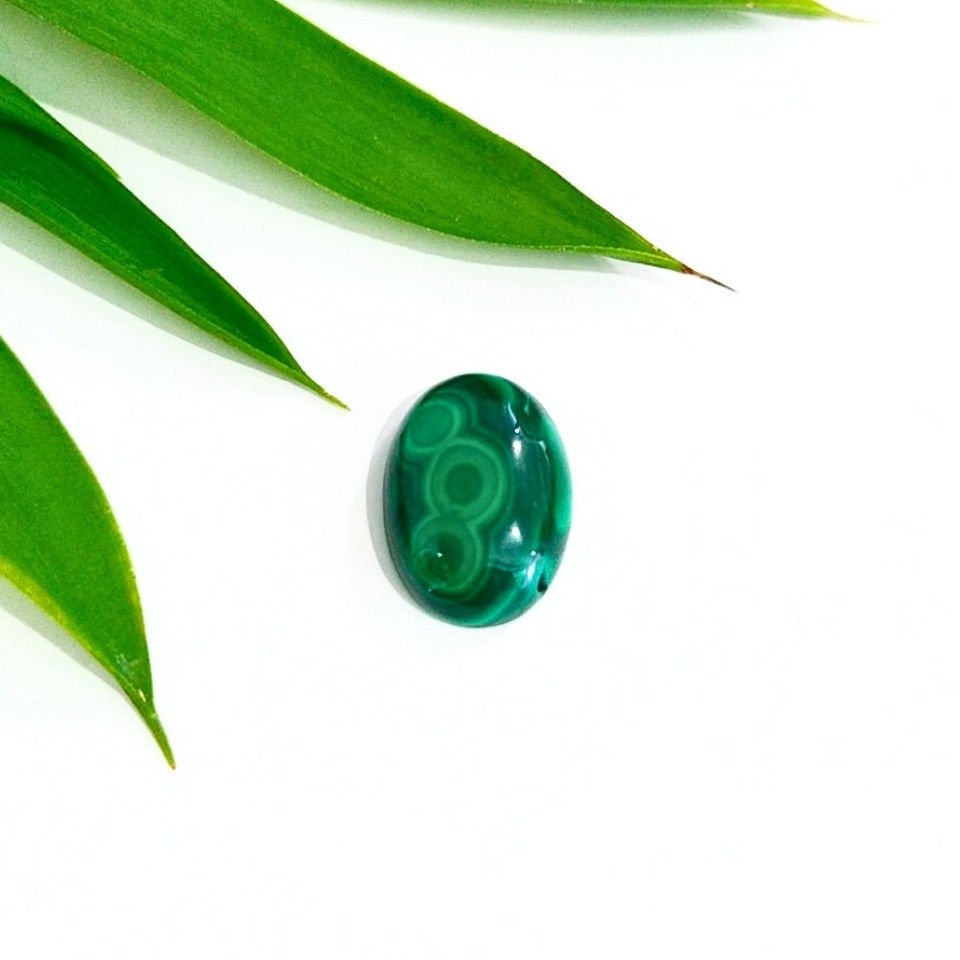 Malachite Natural Stone Cabochon K331