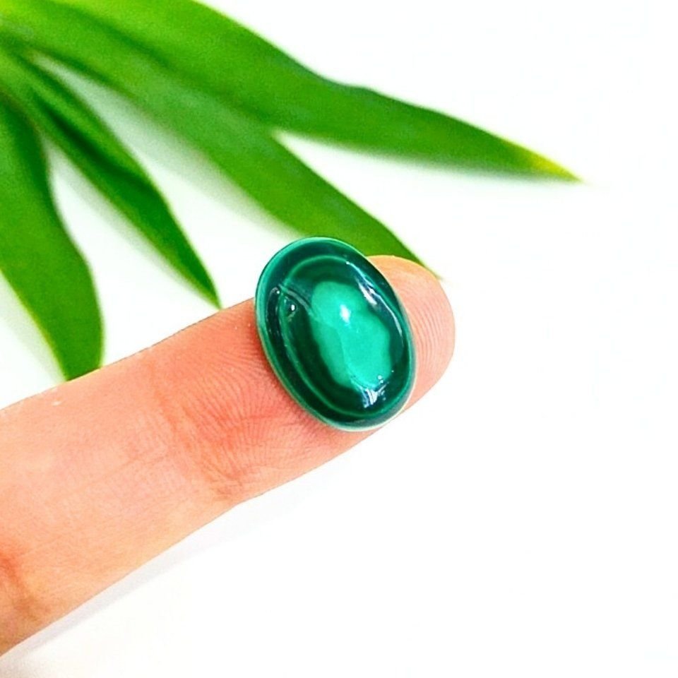 Malachite Natural Stone Cabochon K335