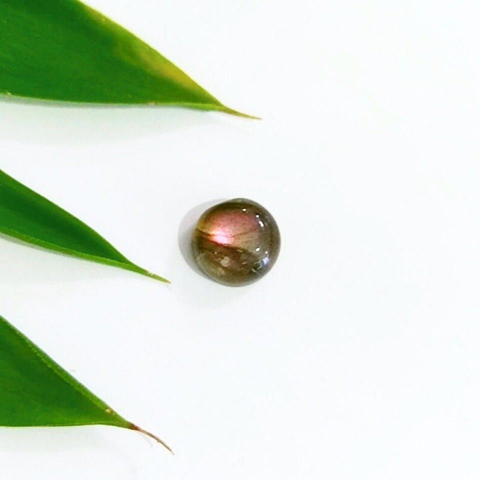 Labradorit-Stein-Cabochon – KAB366