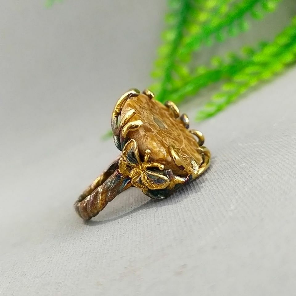 Ammonite Special Design Ring F687