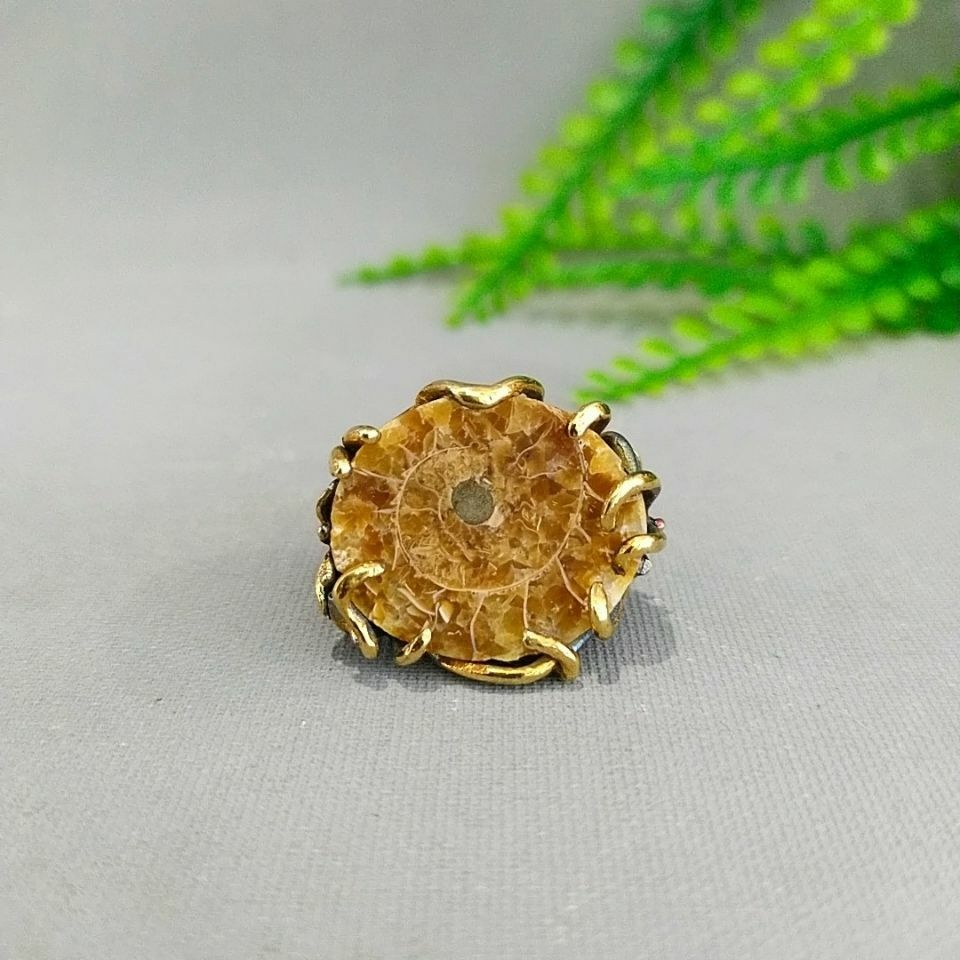 Ammonite Special Design Ring F687