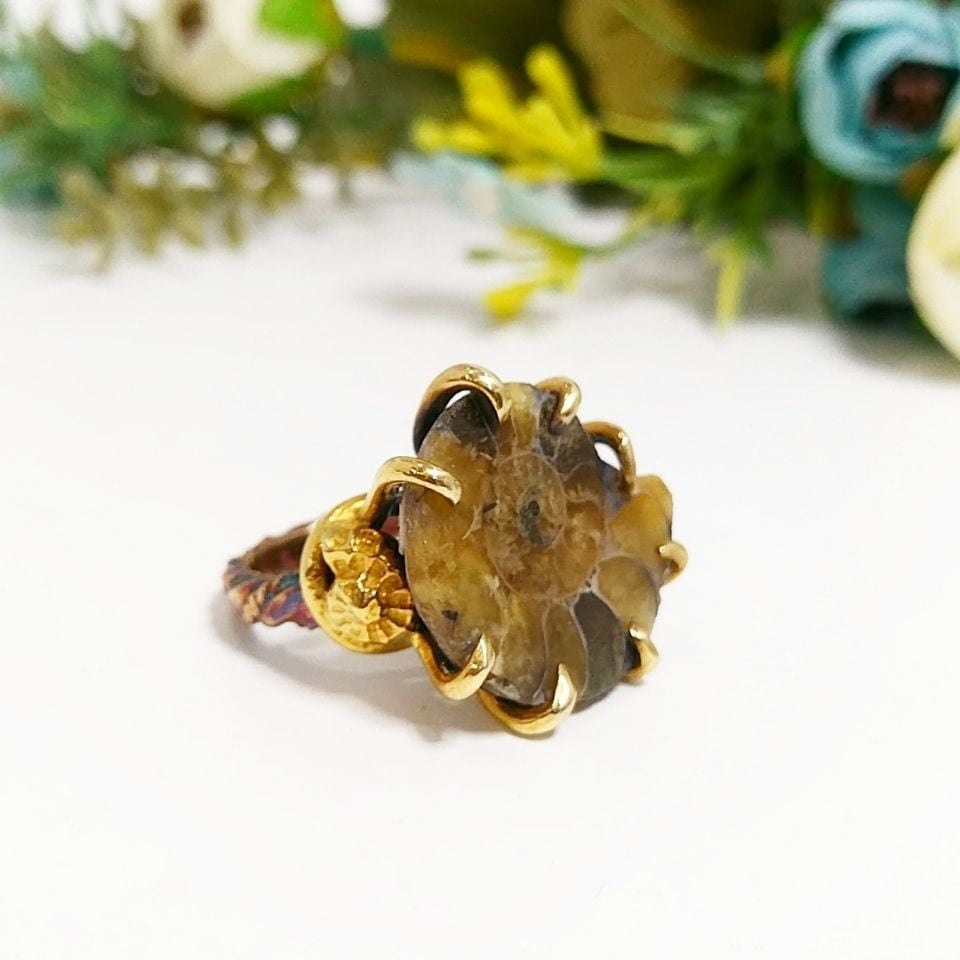 Ammonite Special Design Ring F688