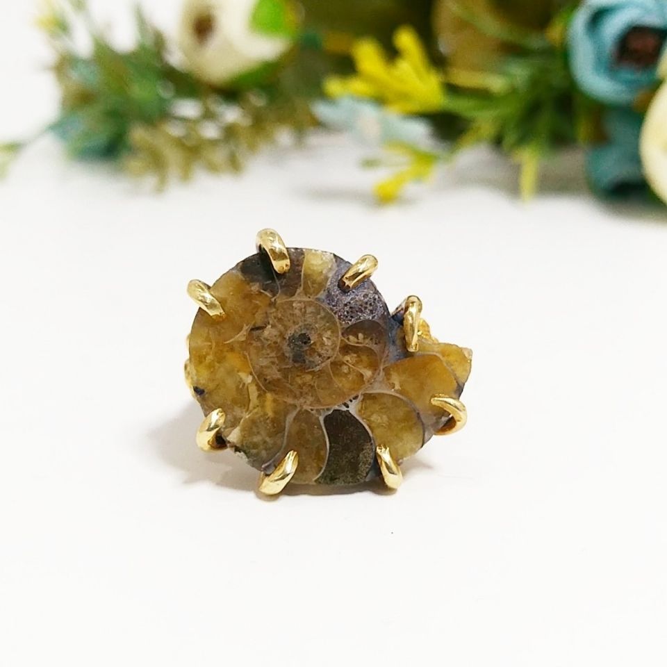 Ammonite Special Design Ring F688