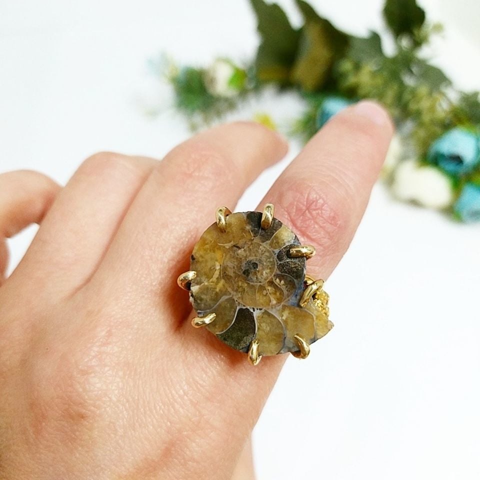 Ammonite Special Design Ring F688