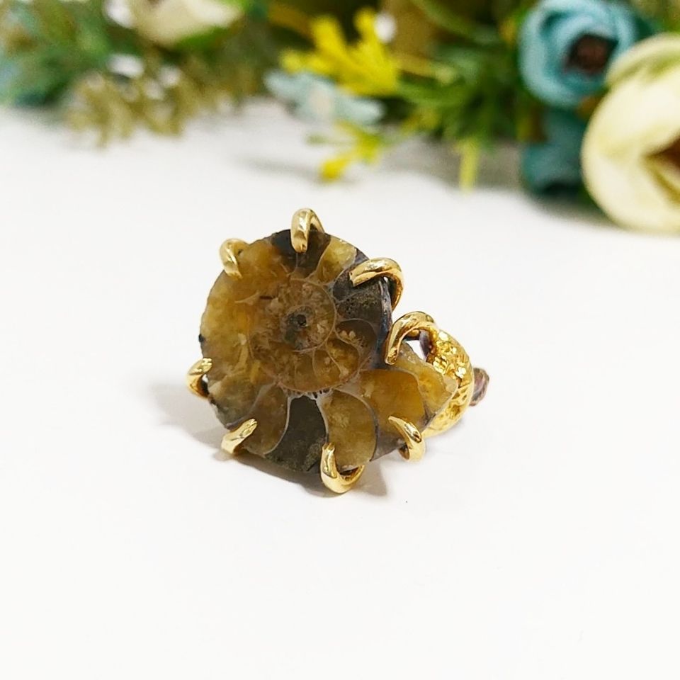 Ammonite Special Design Ring F688