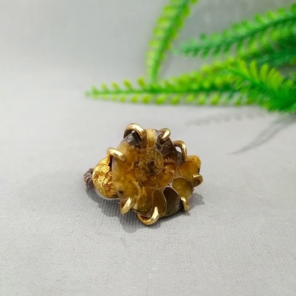 Ammonite Special Design Ring F688