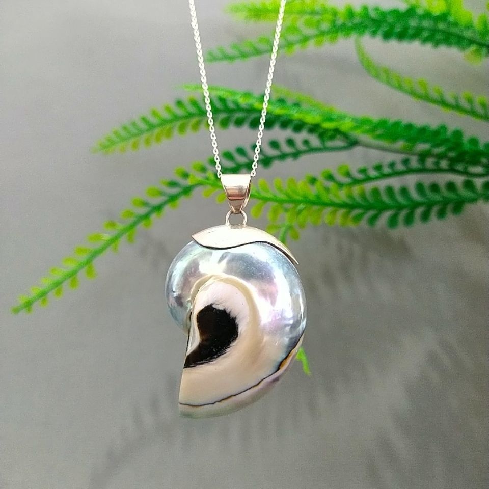 Mother-of-Pearl Ammonite Special Design Necklace F826