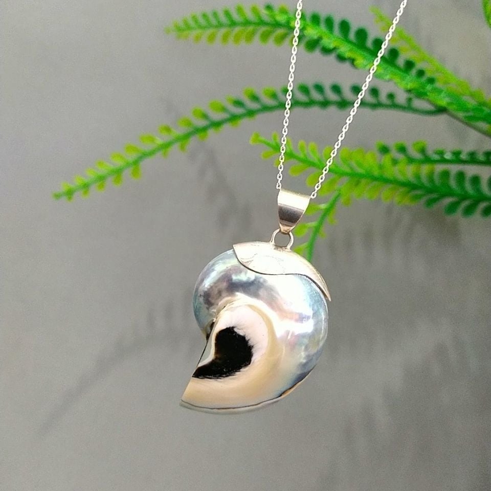 Mother-of-Pearl Ammonite Special Design Necklace F826