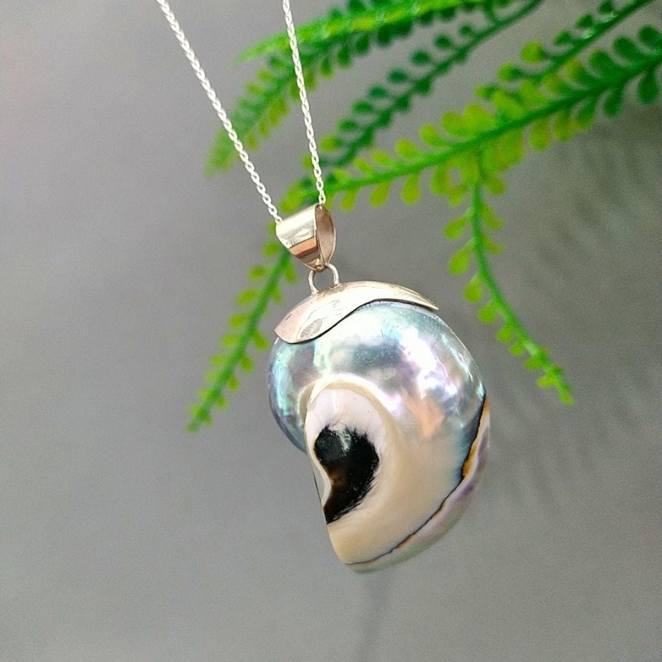 Mother-of-Pearl Ammonite Special Design Necklace F826