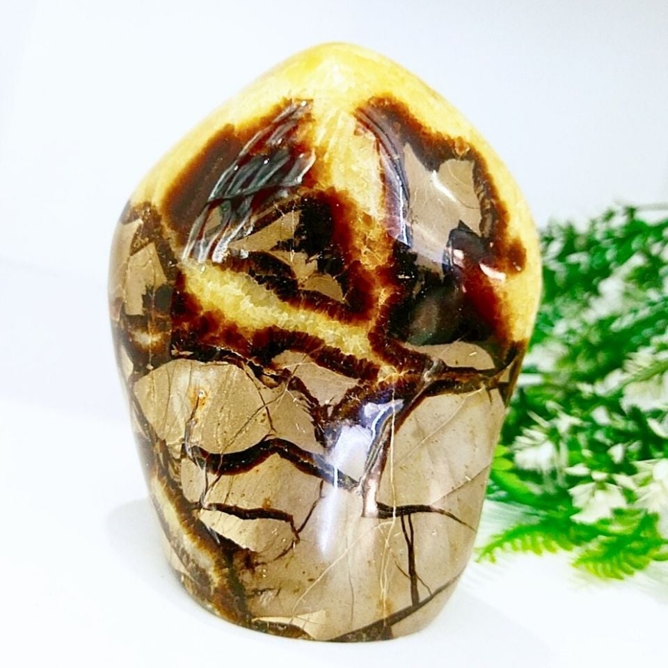 Septeryan Doğal Taş Ham Parça 00760
