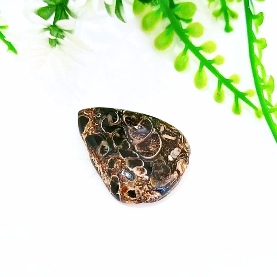 Turritella Taşı Kabaşon 0273