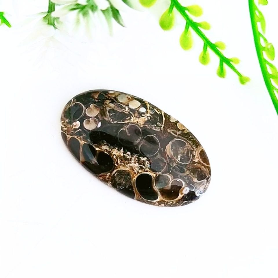 Turritella Taşı Kabaşon 0283