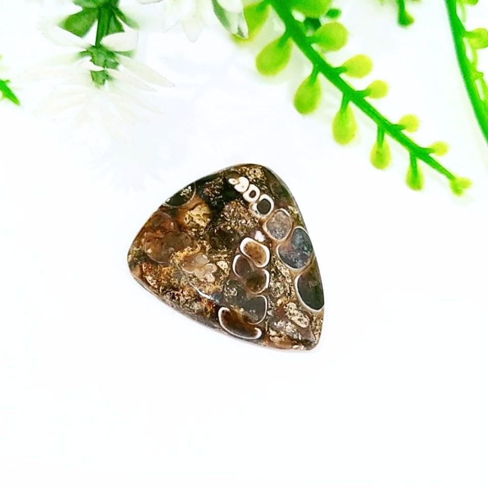 Turritella Taşı Kabaşon 0285