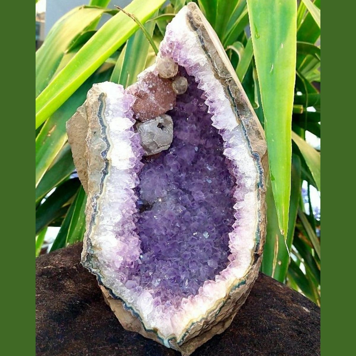 Amethyst Steinmasse Mineral 4,941 gr